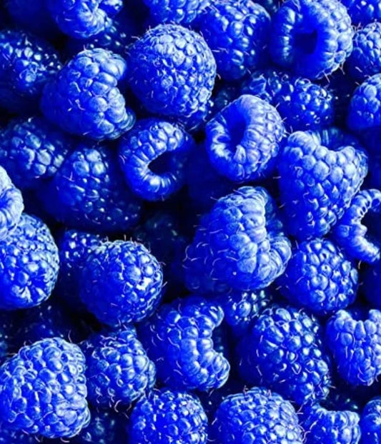 Blue Raspberry Fragrance/Flavor Oil