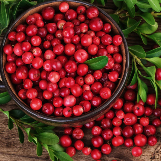 Cranberry Fragrance Oil