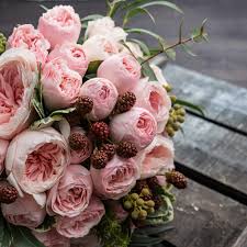 Peony Blush Fragrance oil