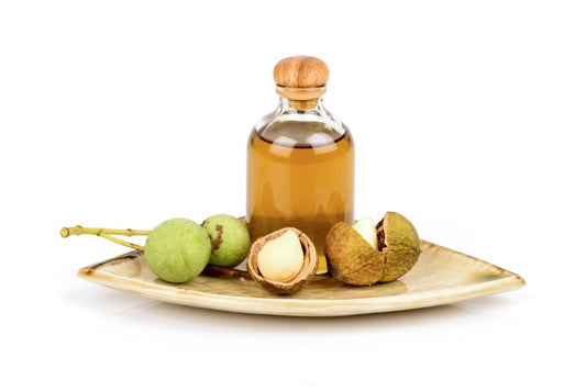 Tamanu oil in a transparent glass bottle with a wooden lid on a lead shaped plate with Tamanu nuts 