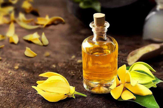 Ylang Ylang oil in a transparent glass bottle with a cork lid on a brown surface with two ylang ylang flowers