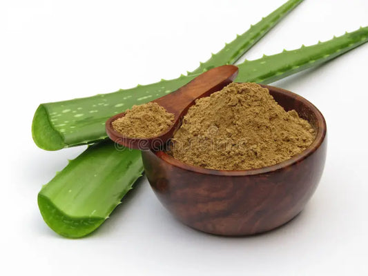 Aloe Vera Powder 200x heaped full in a brown bowl  with a wooden spoon full of aloe vera powder on top of the wooden bowl on a white surface with 2 half cut aloe vera plants