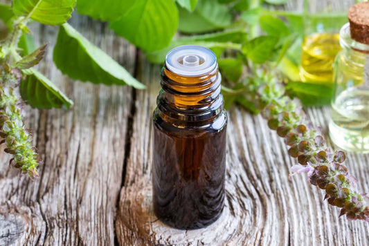 Basil Essential Oil in a brown amber bottle with a euro dropper car on a wooden surface surrounded by basil plants 