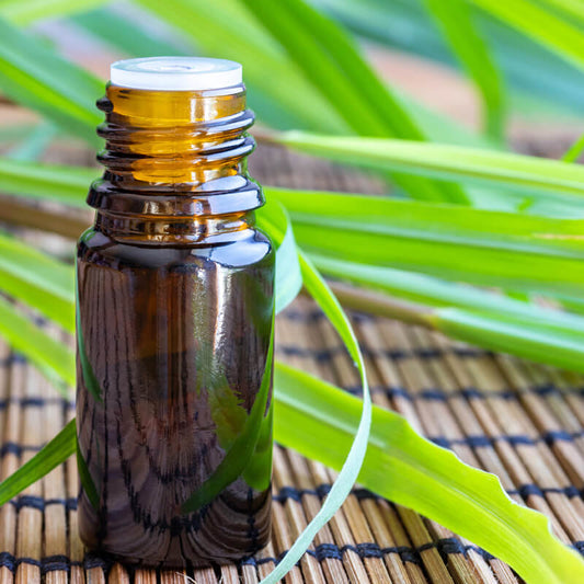 Brown amber bottle with a  transparent stopper lid on a raffia surface with citronella leaves around it 