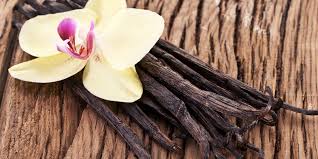Vanilla pods with vanilla flower on top all on a wooden surface 