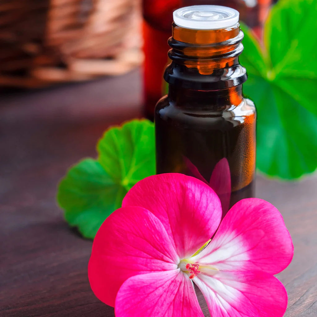 Geranium Essential Oil