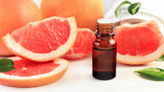 Grapefruit Fragrance Oil in an uncovered amber bottle surrounded by half cut grapefruits on a white surface 