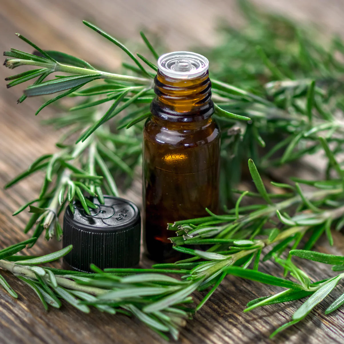 Rosemary Essential Oil