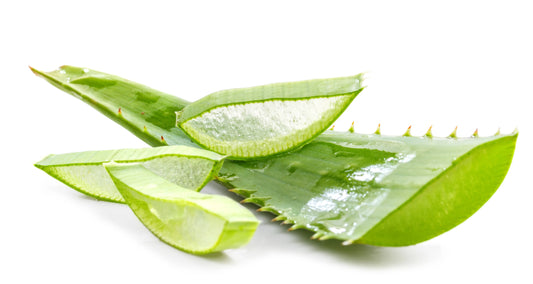 Cut Up Aloe Vera Plants stacked on a white surface 