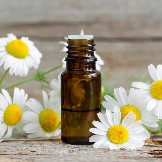 Chamomile Essential Oil