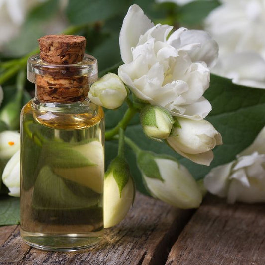 Jasmine Fragrance Oil